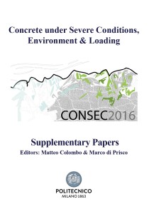 copertina supplementary papers DEF1 (2)