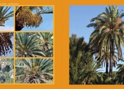 1892e7df-f844-48f0-8eae-f80f143bb0ff