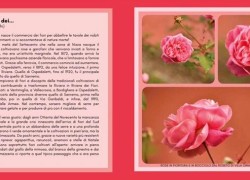 1c163c7e-73eb-4106-8269-67a72b350f8d