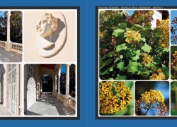 7037aa76-b655-45f7-90c4-5c80d6742cb5